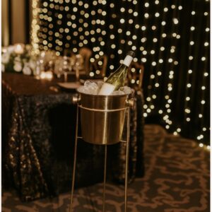 Ice bucket with stand