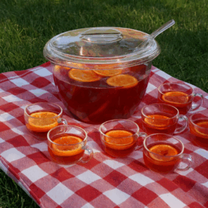 Acrylic Punch Bowl with lid, 8 cups and ladle