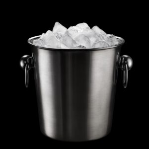 Stainless Steel Ice Bucket