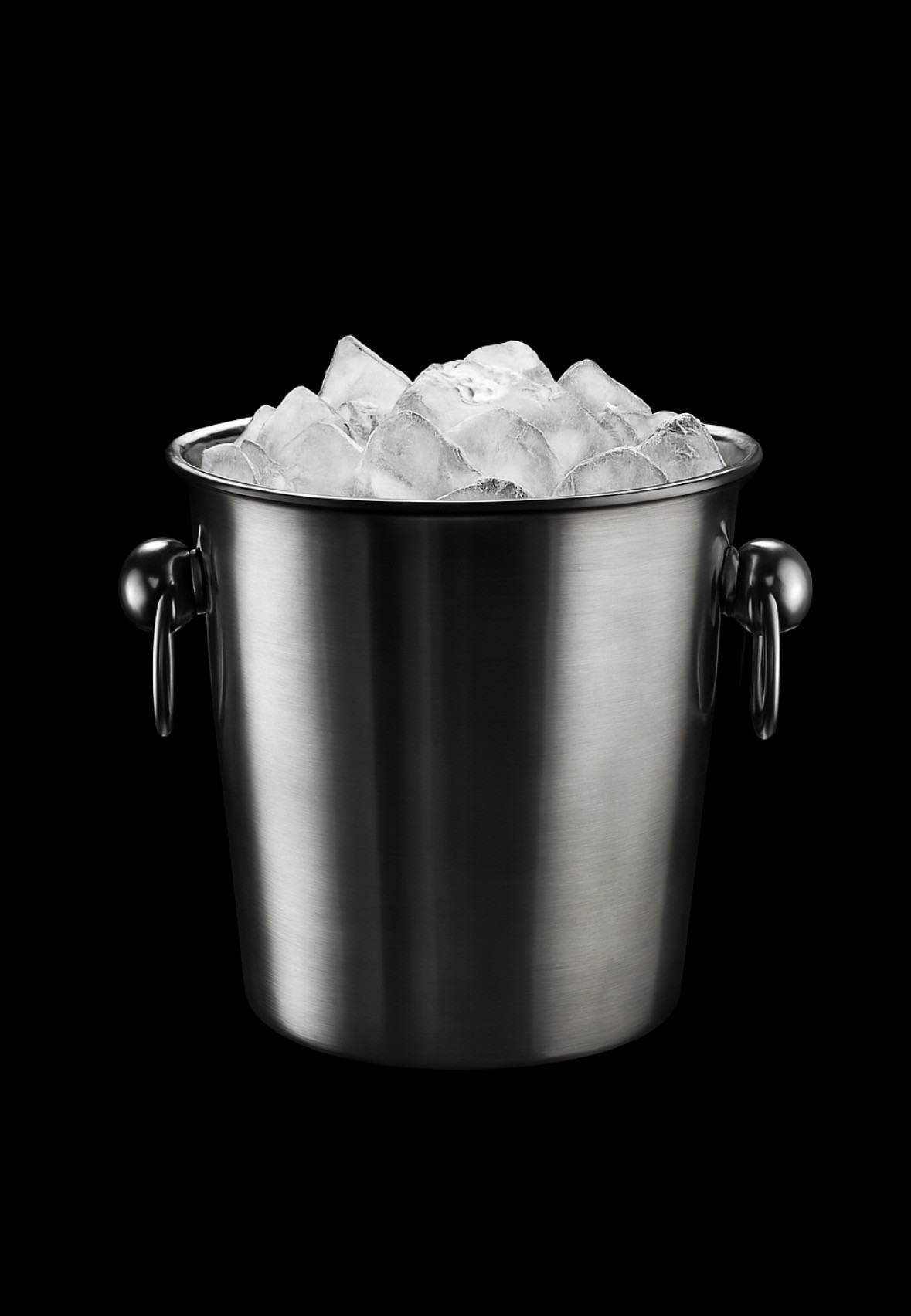 Stainless Steel Ice Bucket