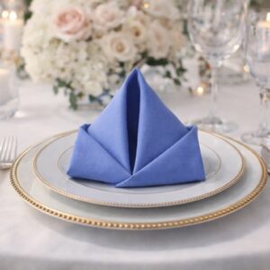 Cloth Napkin - Blue