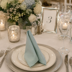 Cloth Napkin - Dusty Blue