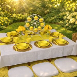Sunshine Picnic Package 3 - HIRE